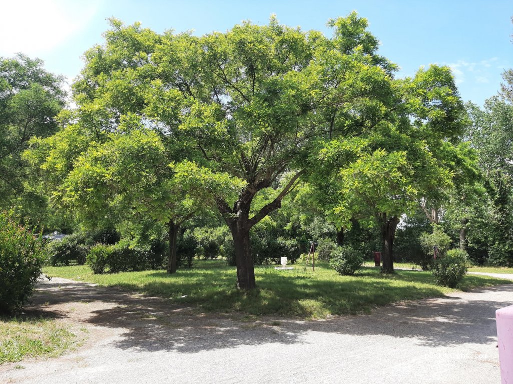 Camping Le Garanel — foto 2