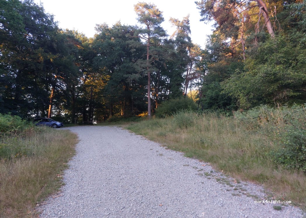 (72140) Mont-Saint-Jean - 1 Les Aulnaies — foto