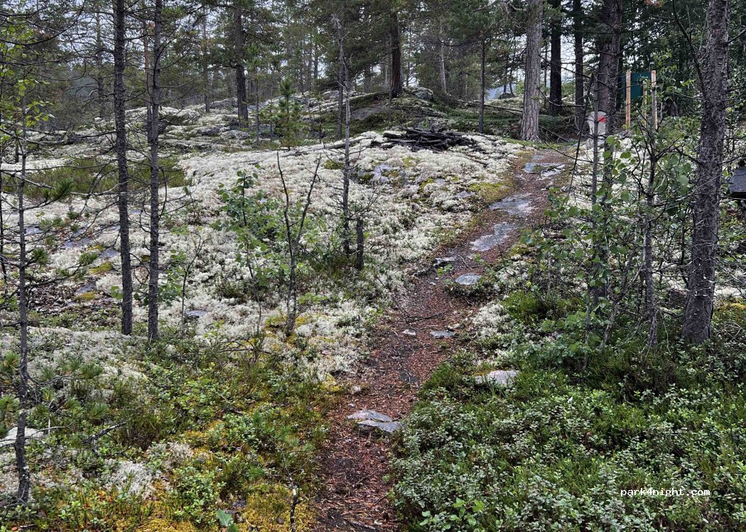 () Bråtågrendi - Rv15 — foto 5