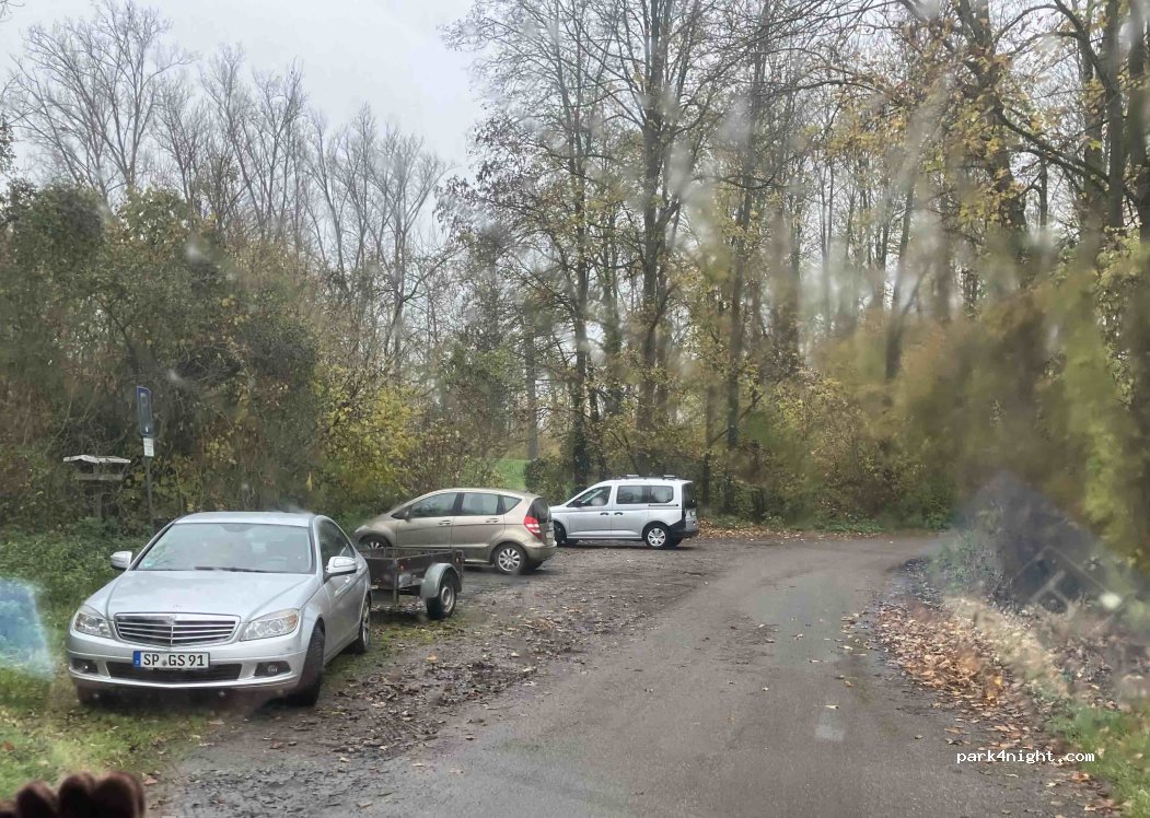 (67165) Waldsee - — foto 3