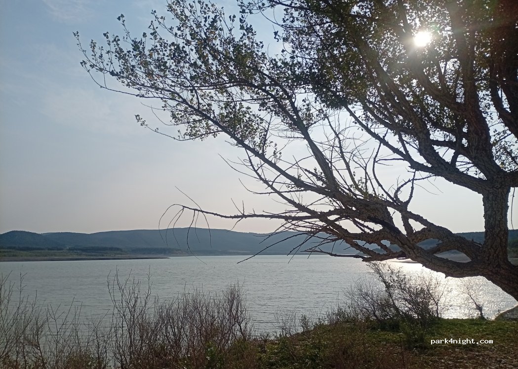 (50682) Escó - — foto 3