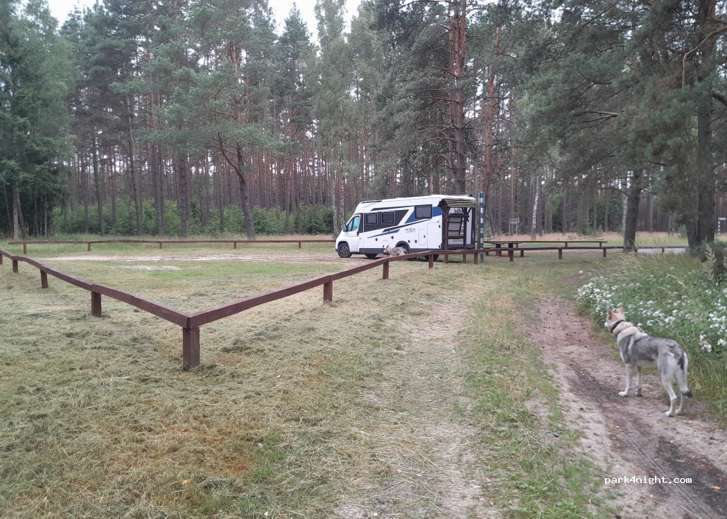 (86-160) Borowy Młyn - — foto 2