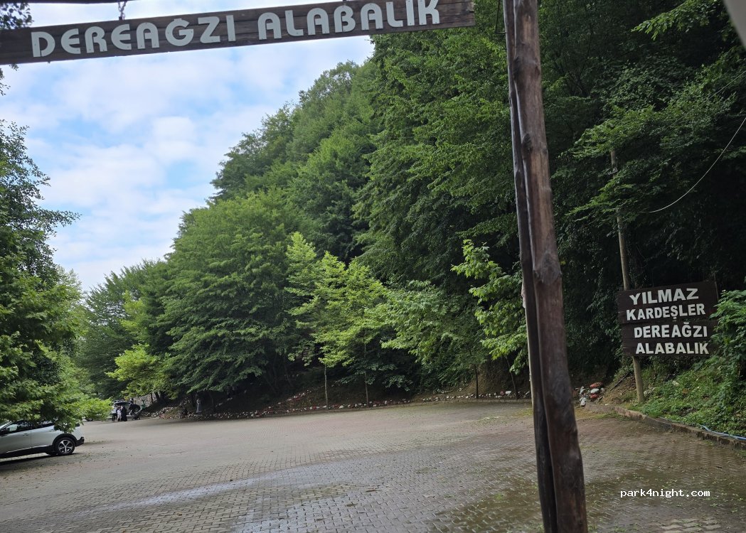 (54405) Şerefiye - — foto