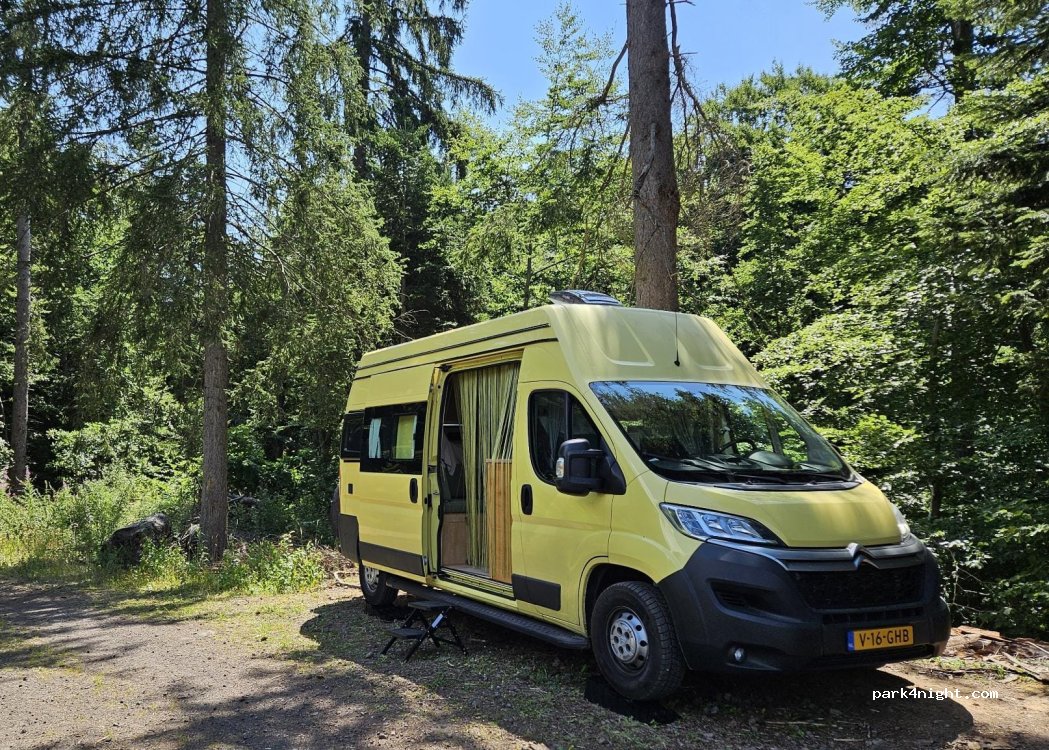 (63610) Besse-et-Saint-Anastaise - 63610 Bois de Gravière — foto