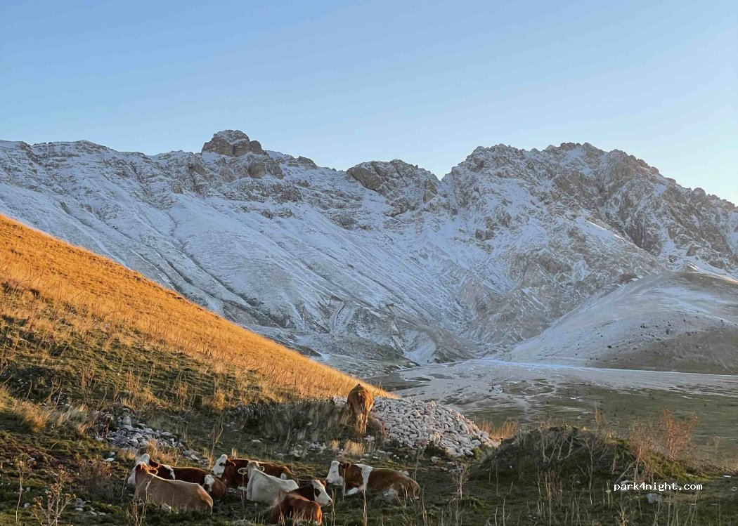 (67100) L'Aquila - Unnamed Road — foto 2