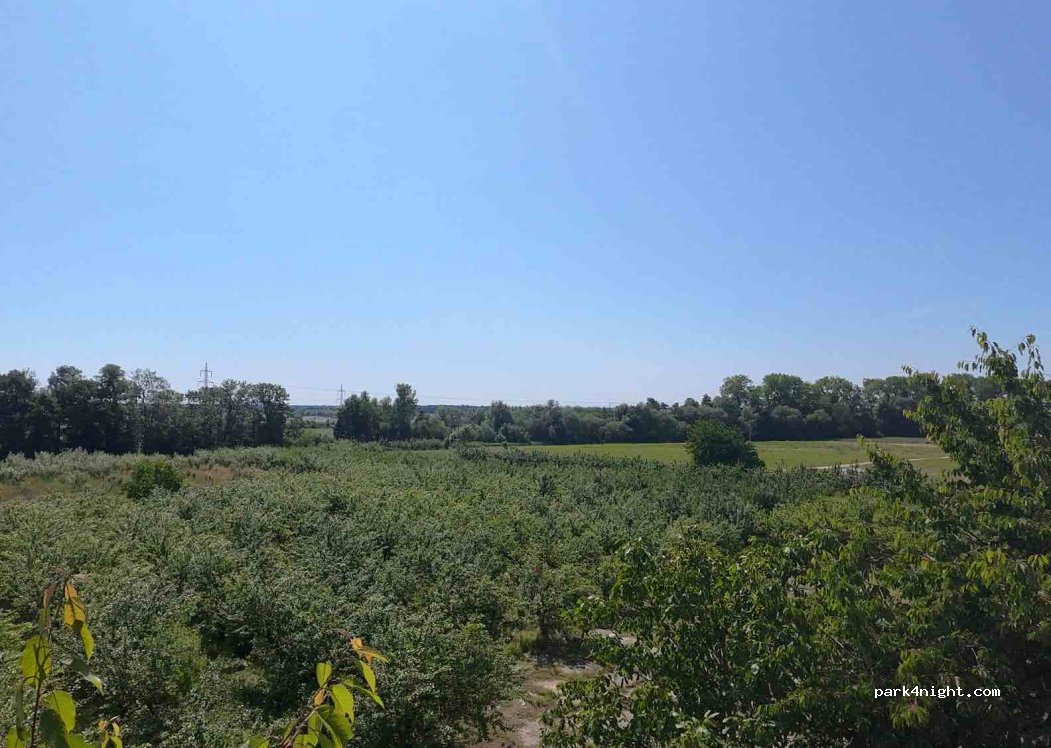 (533 45) Podůlšany - — foto