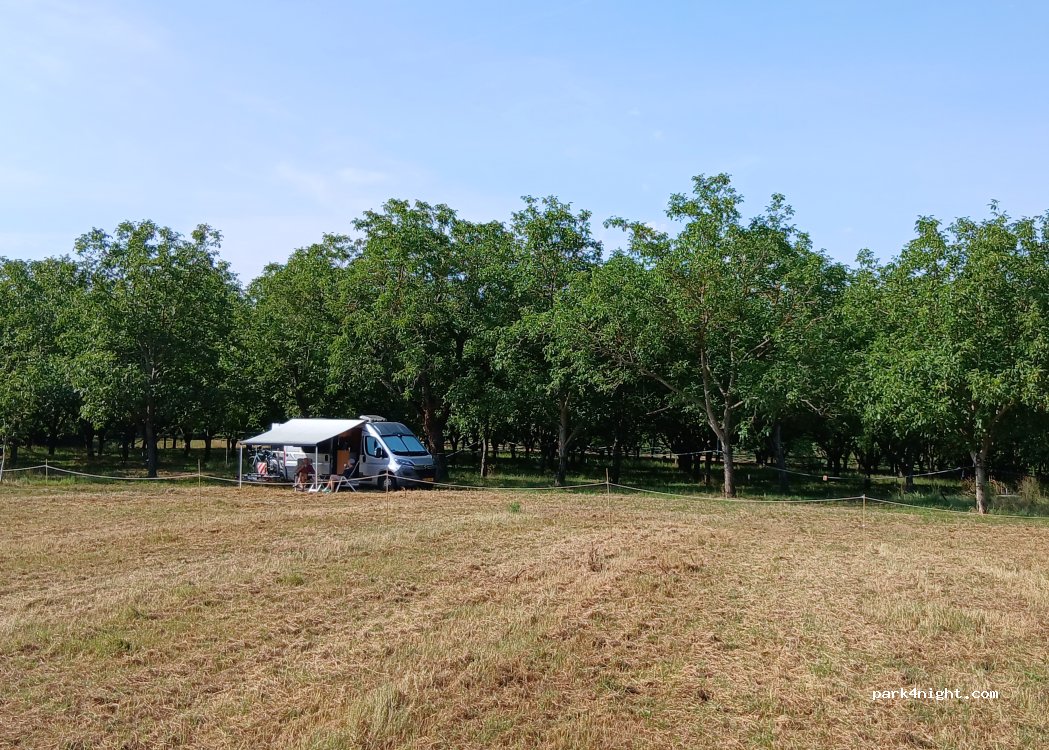 (38160) Saint Antoine l'Abbaye - 1150 Route de Chapaize — foto