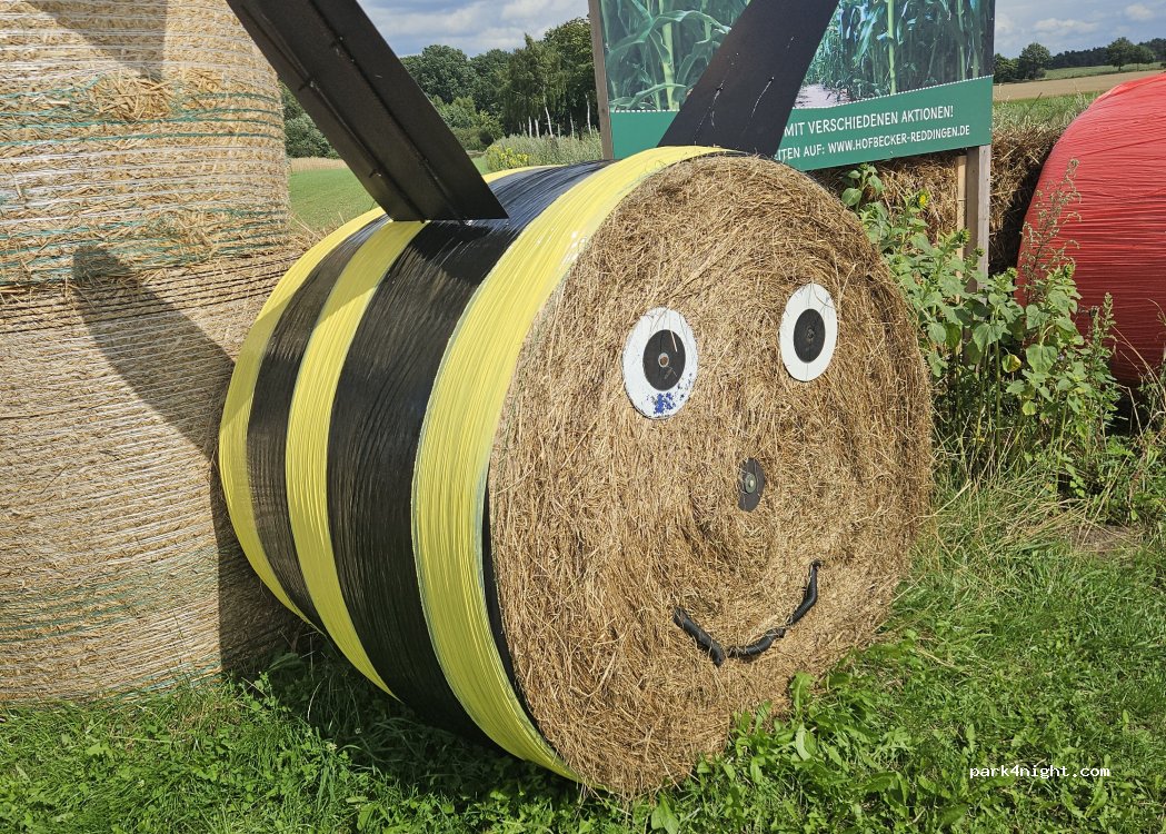 (29649) Wietzendorf - — foto