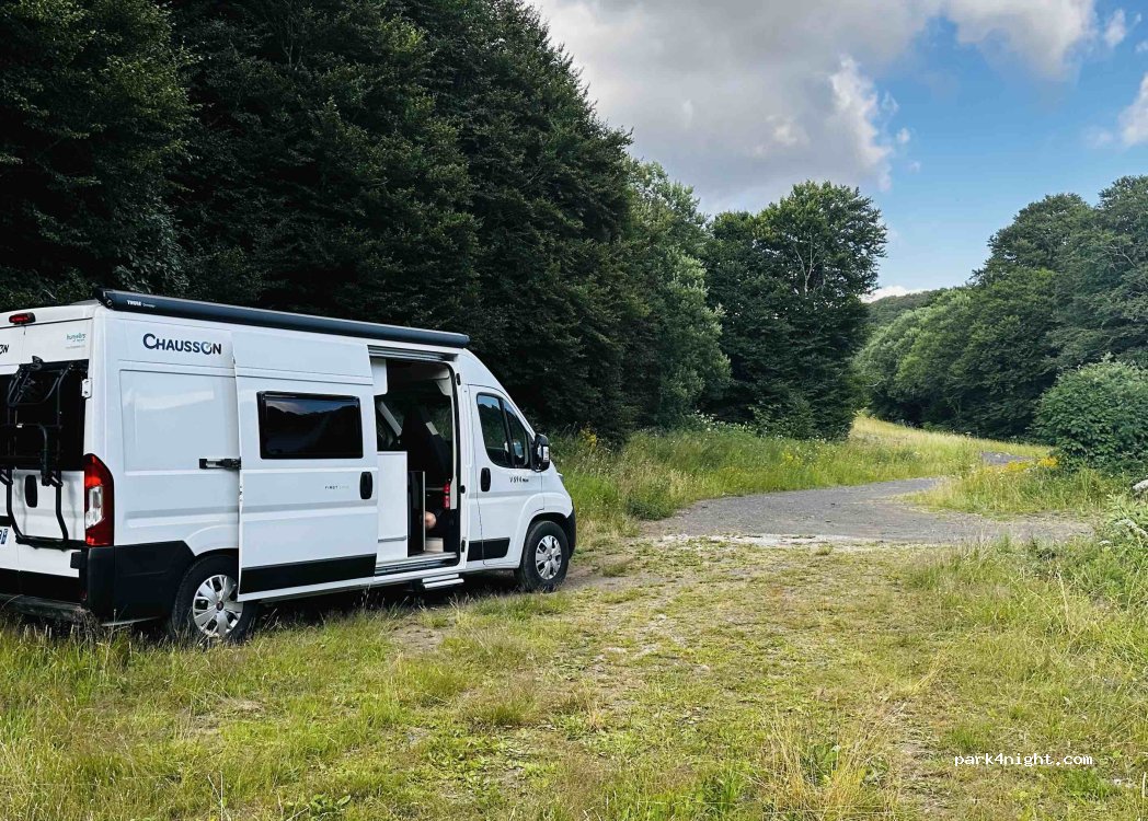 (63113) Picherande - — foto