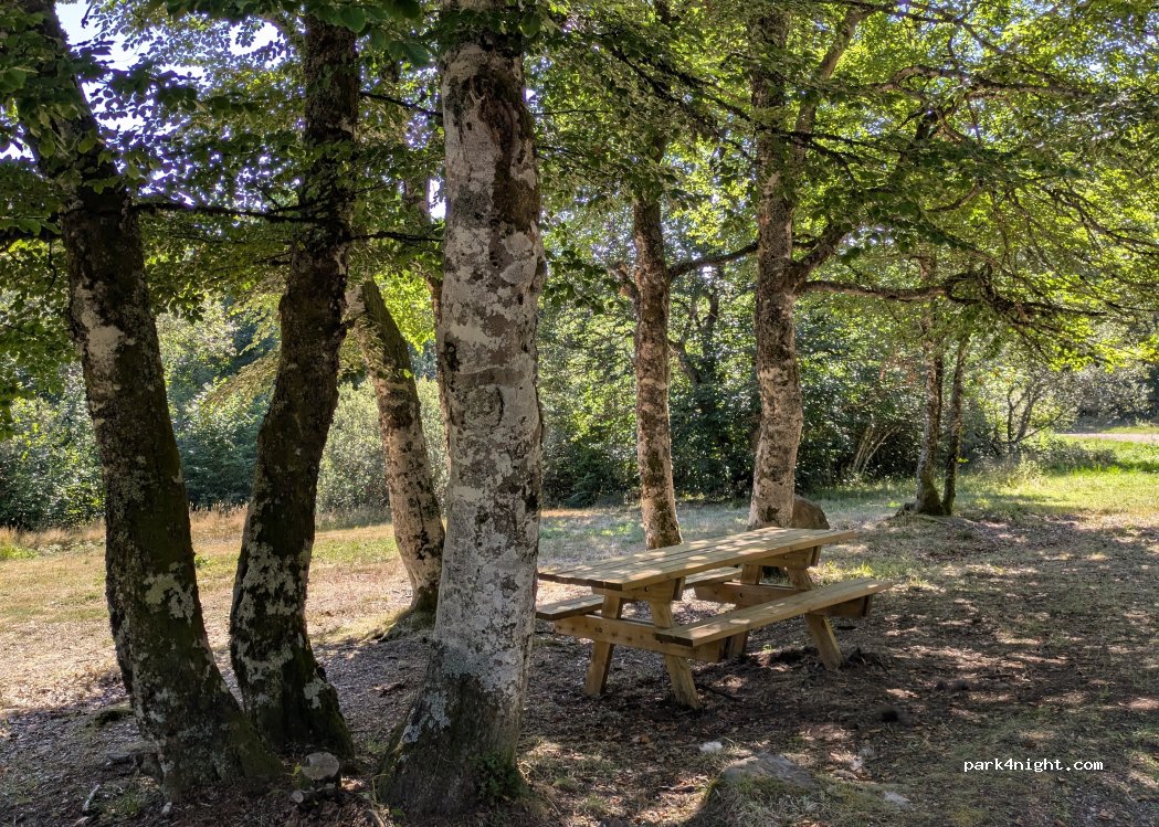 (12210) Laguiole - — foto 4