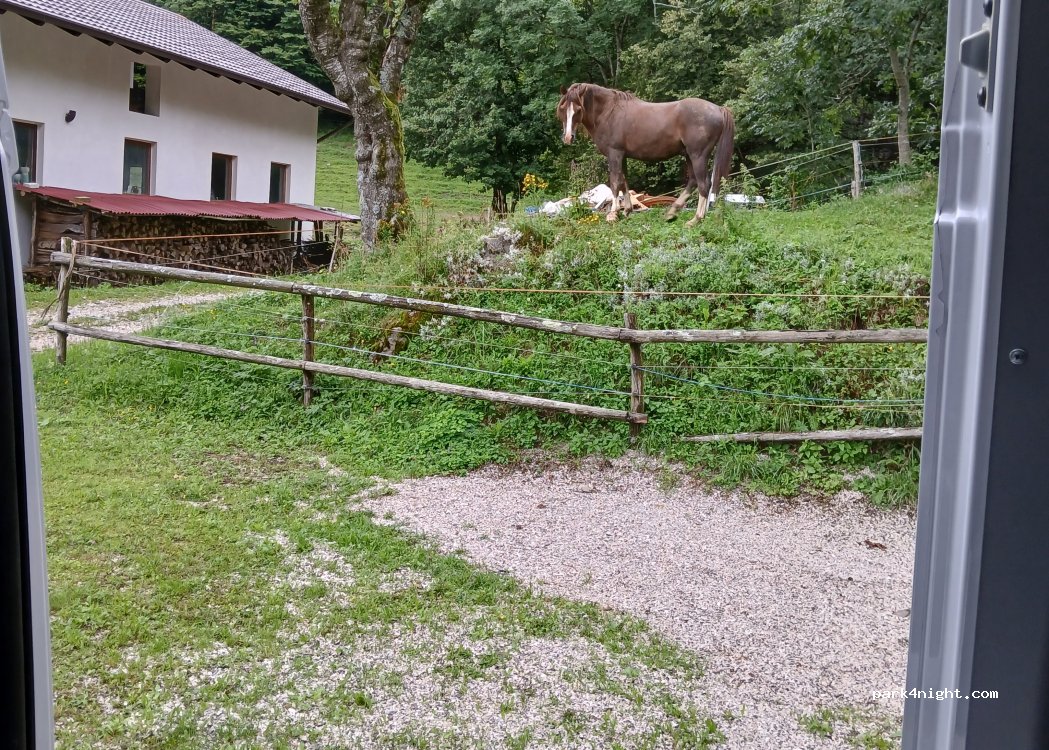 (5222) - 2a Livške Ravne — foto 3