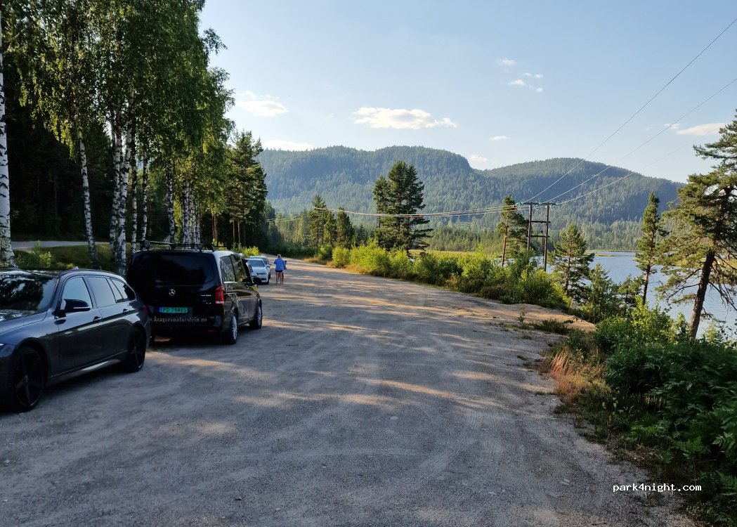 (4980) Gjerstad - Fv71 — foto 3