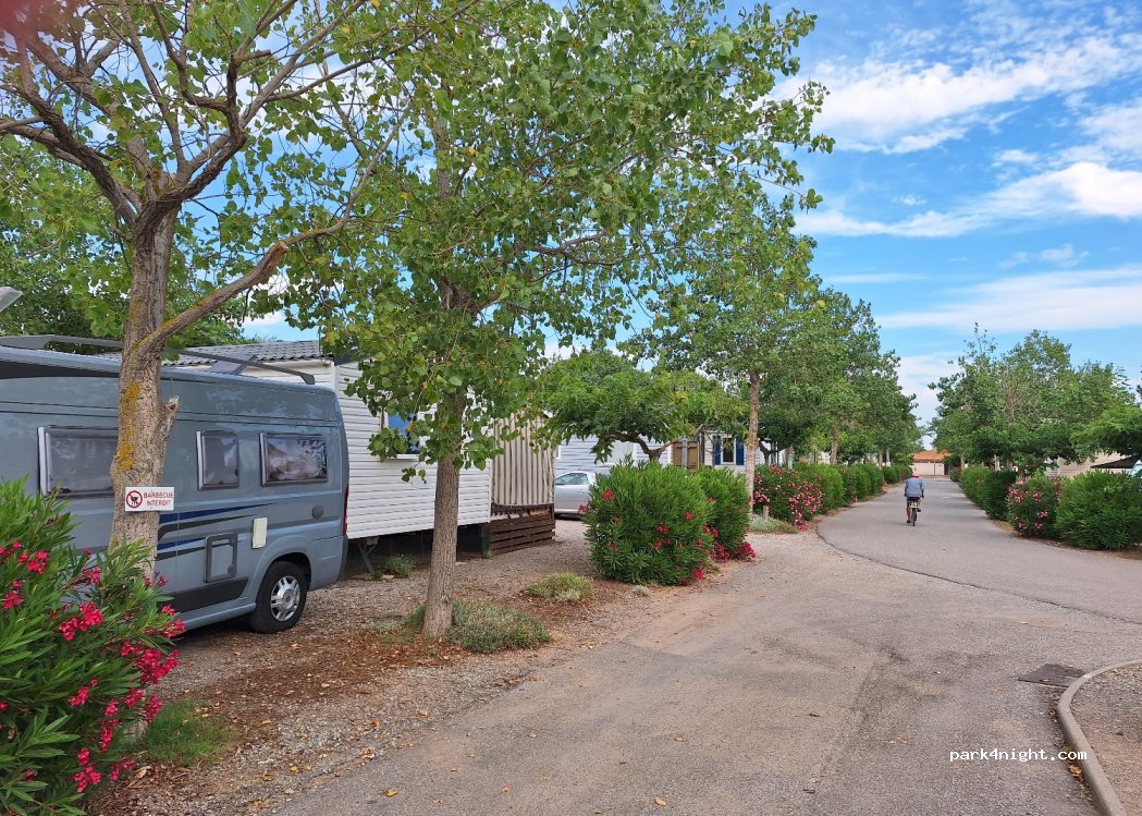 Camping Municipal — foto 4