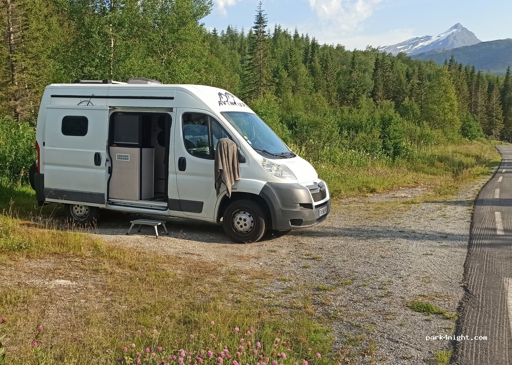 (8140) Inndyr - 2 Risneset — foto