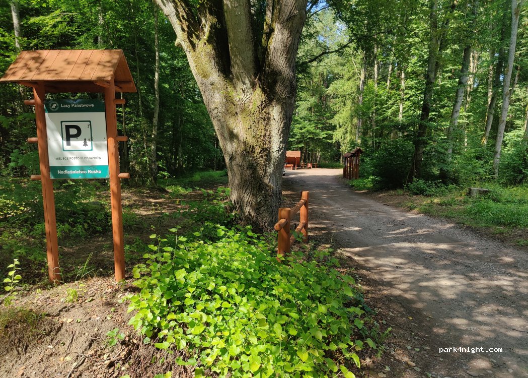 (72) Bezmoście - 152 — foto 2