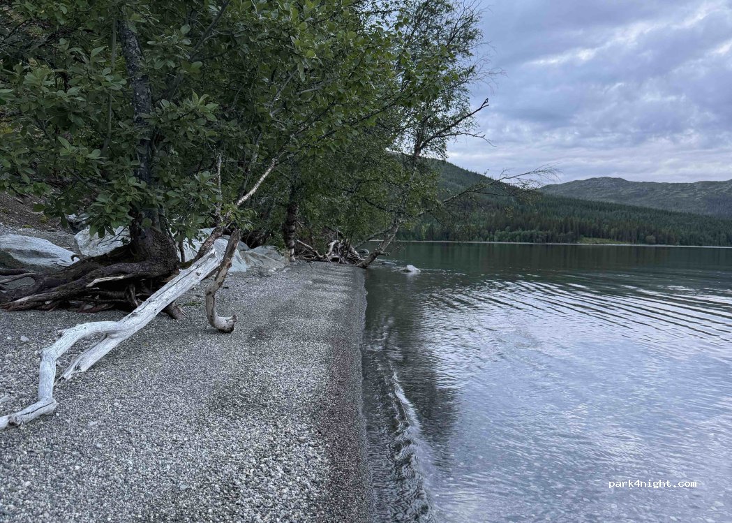 (7898) Tunnsjøen - — foto 3