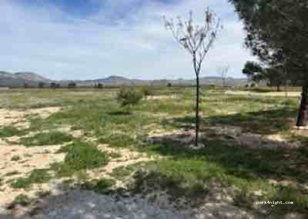 (30810) Lorca - 8 La Tova — foto