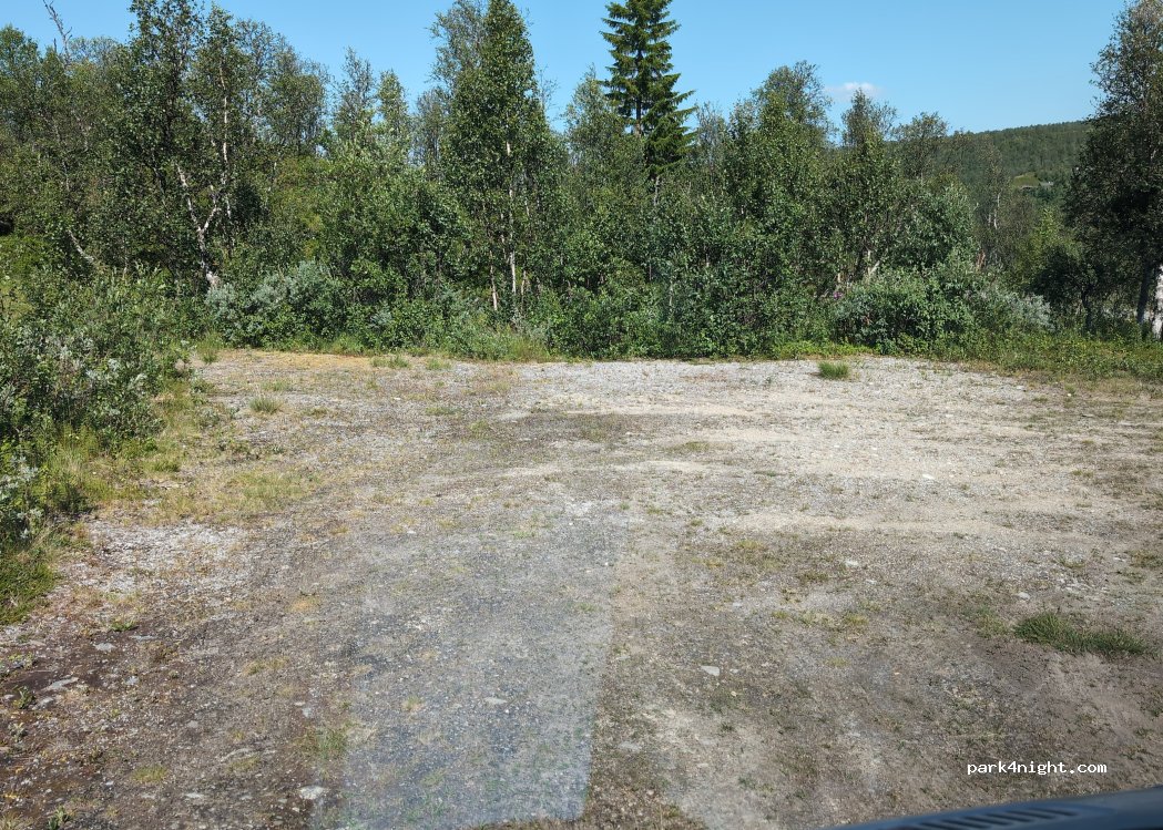 (7372) Røros - 201 Arvdalslina — foto