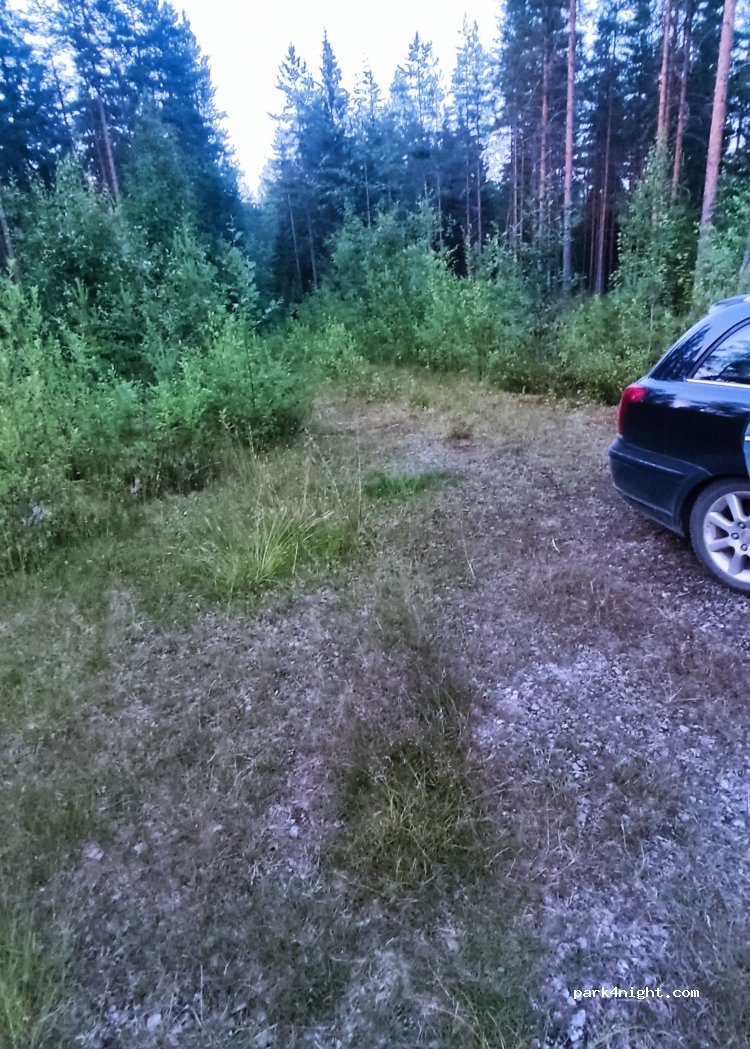 (35300) - 255 Viitapohjanraitti — foto 2