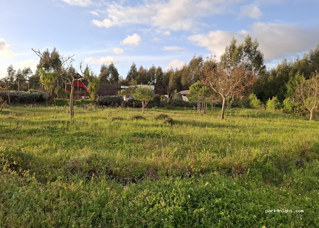 Caria - Organic Farm and Agroforestry — foto