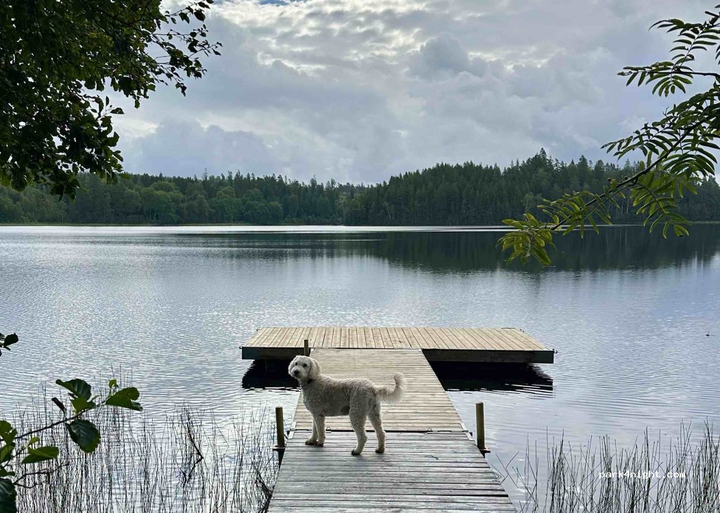 Dalalund — foto 2