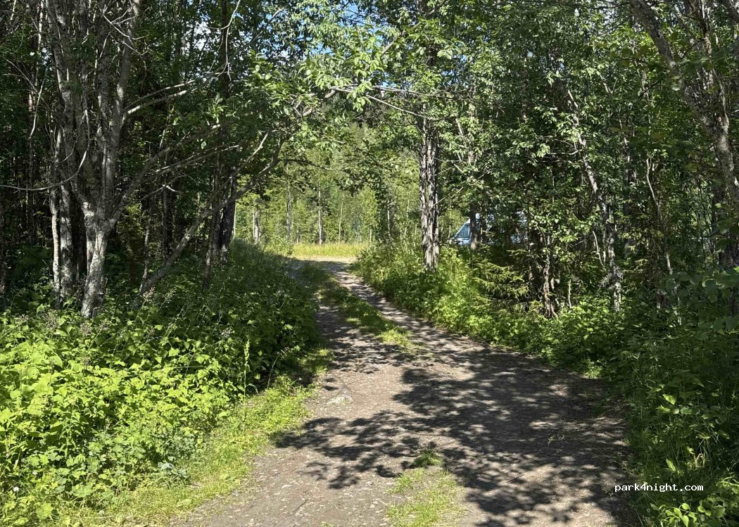 (912 97) Bångnäs - — foto