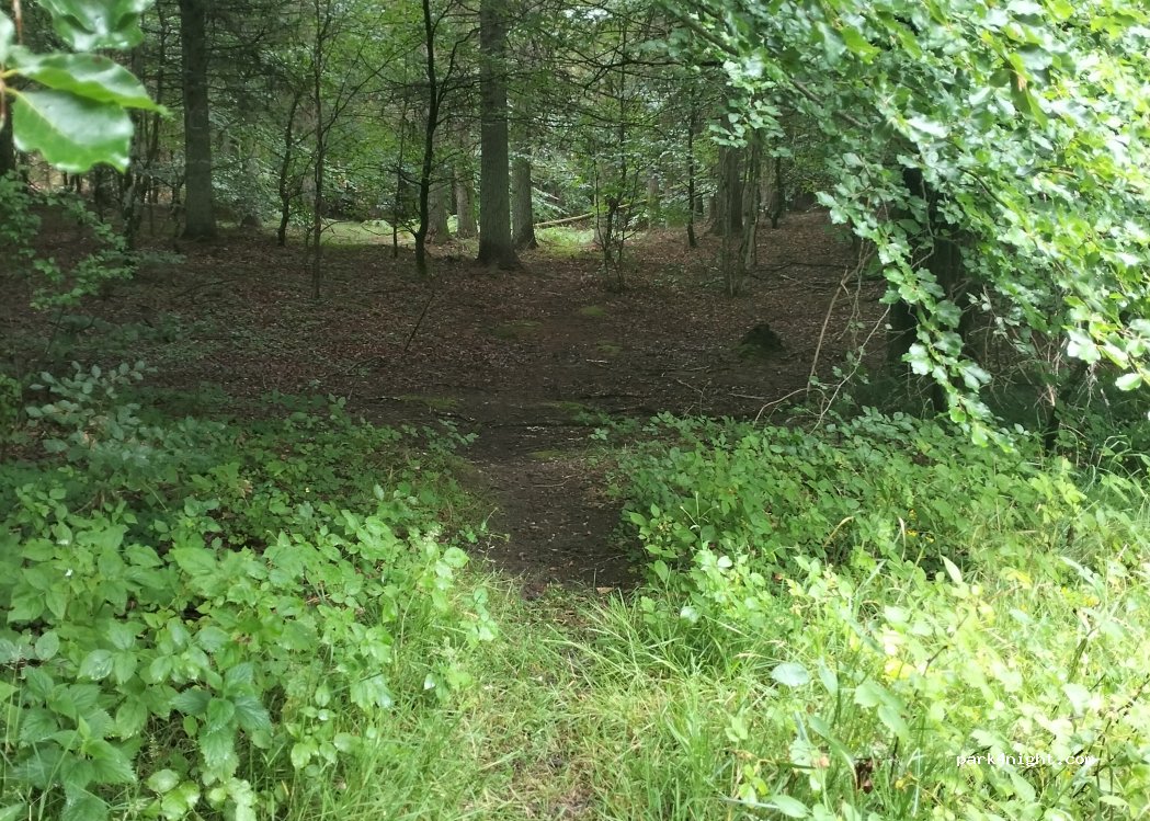(9520) Skørping - — foto 3