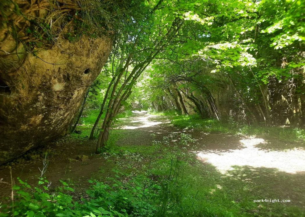 Camping les Canoles — foto 2