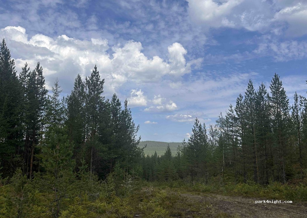 (797 91) Särna - — foto
