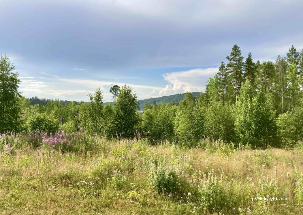 (82734) Ljusdal - X 728 — foto 3