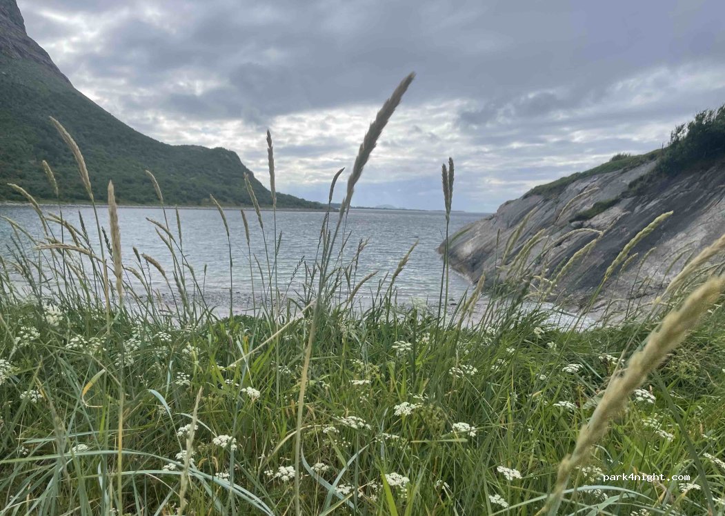 () - Sandstrakveien — foto 4