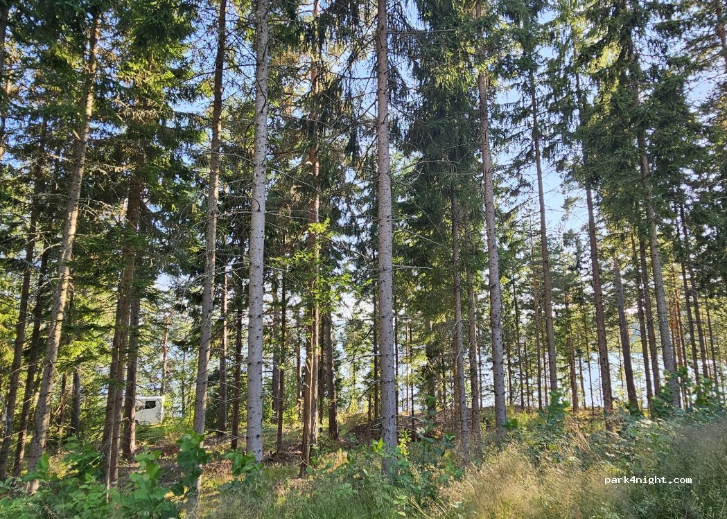 (661 96) Rudsbyn - — foto