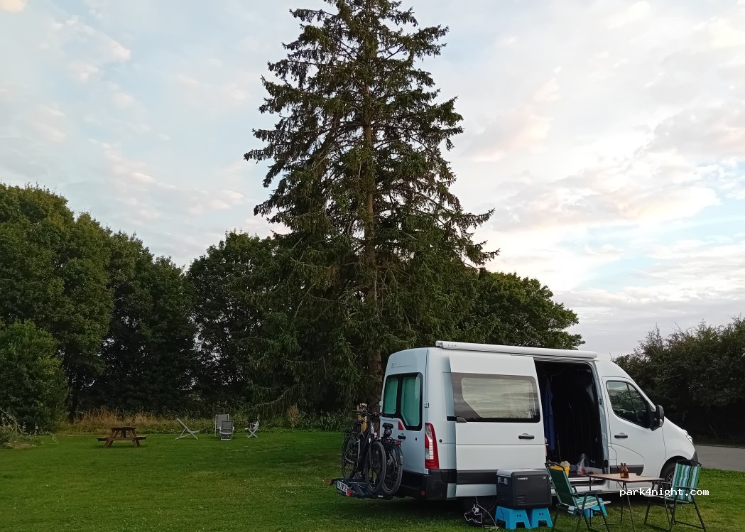 Le petit hêtre — foto