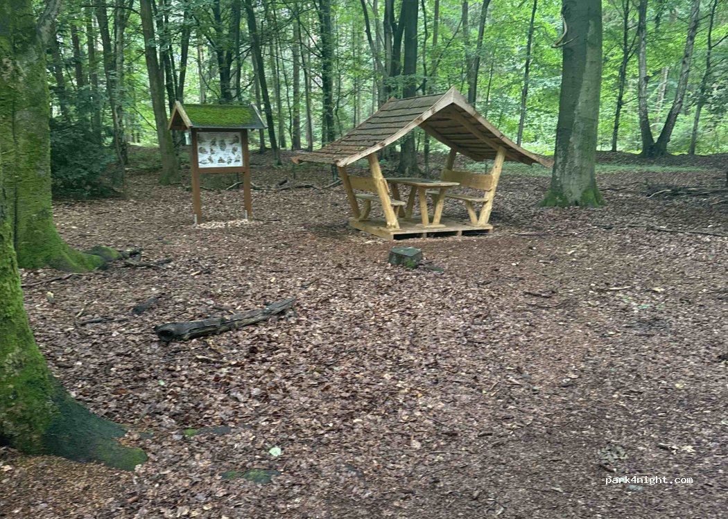 (27243) Dünsen - Vor dem Hagen — foto