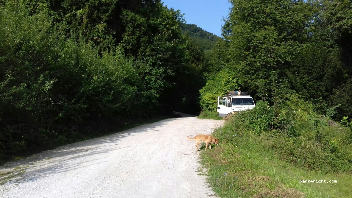 (3210) Slovenske Konjice - 8 Tattenbachova ulica — foto