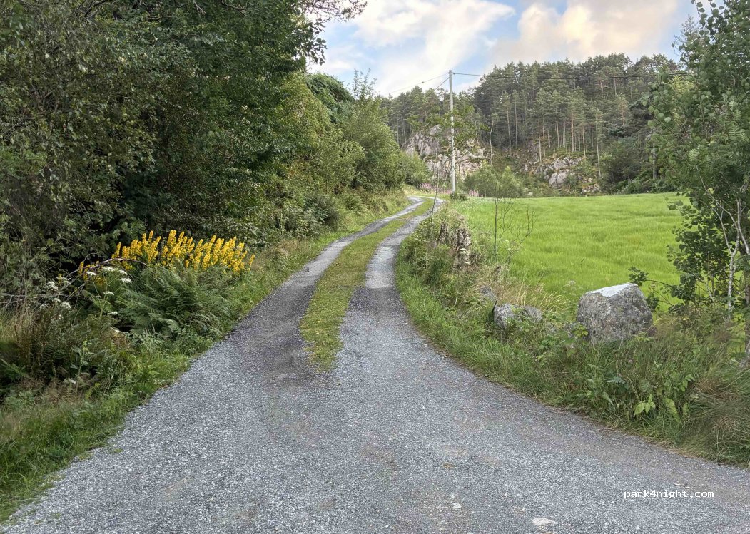 (5259) Bergen - — foto