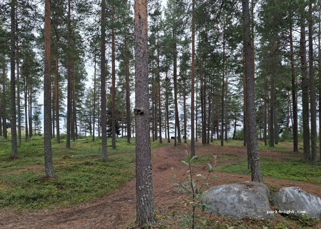 (934 91) Kåge - Gullsandsvägen — foto 5