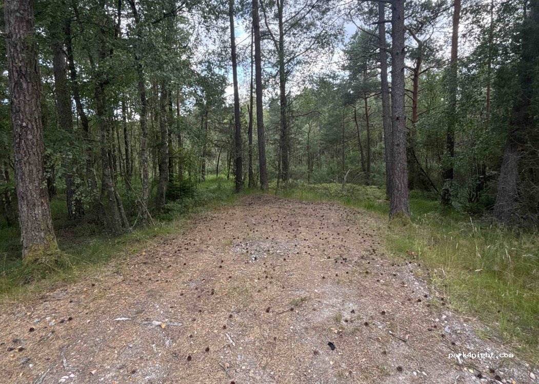 (44371) Nödinge - Skyrsjönäsvägen — foto 2