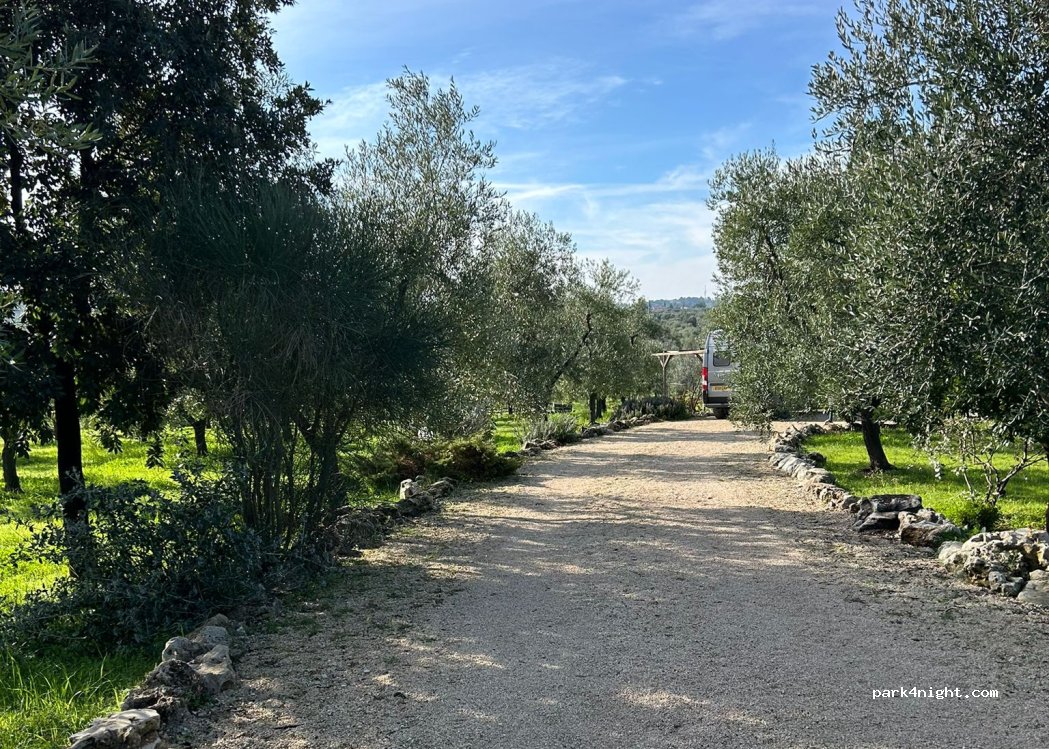 (76123) Corato - Strada esterna dell'Accio 11 — foto 4