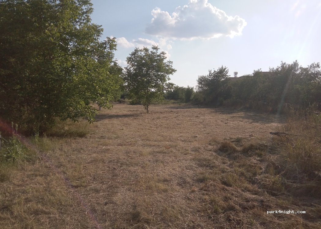 (307210) Giarmata - Strada Regele Carol I — foto
