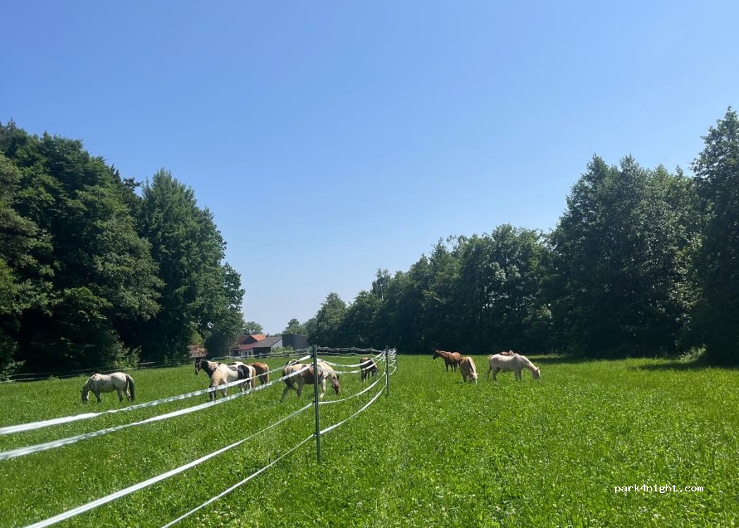(95466) Kirchenpingarten - Reislas 1 — foto