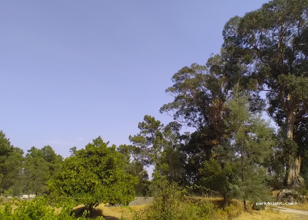 () Louriçal do Campo - — foto 3