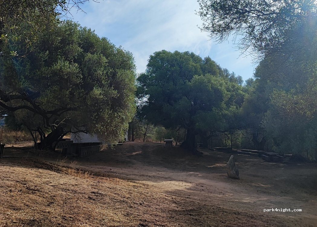 (07026) Olbia - — foto 3