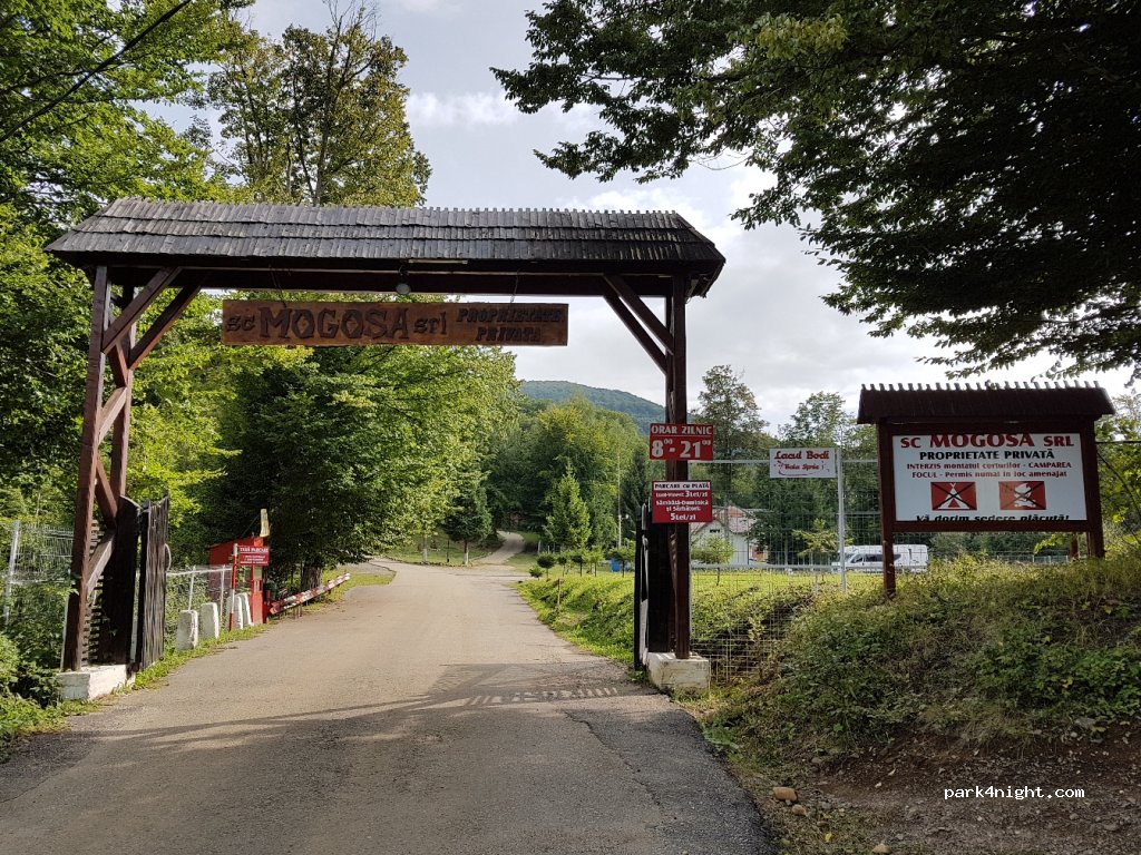 (435100)  - Strada Stațiunea Mogoșa — foto