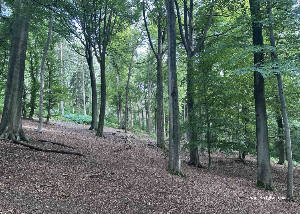 (1348) Ottignies-Louvain-la-Neuve - Sentier du 550e — foto