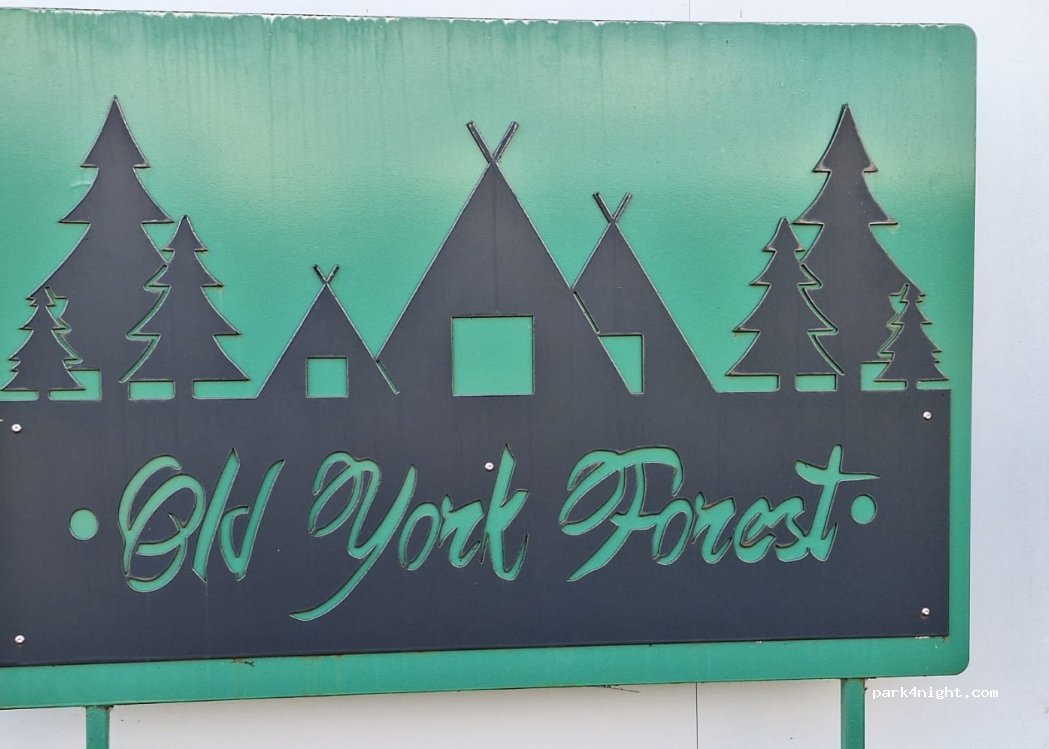 Old York Forest Caravan Park — foto 2
