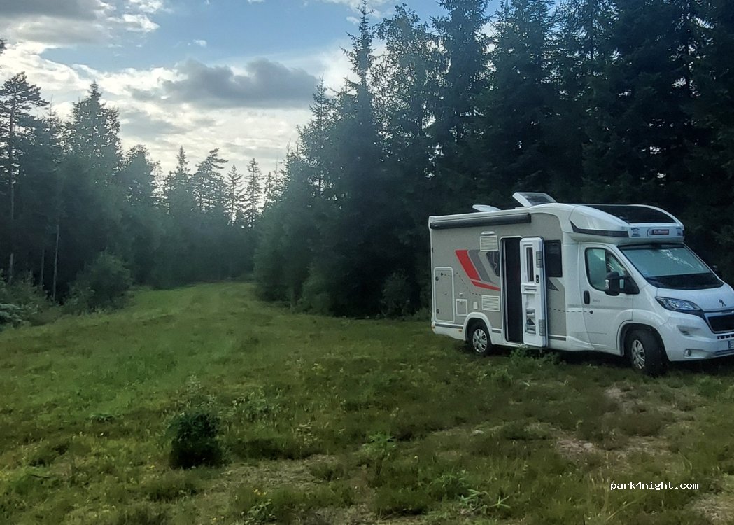 (51462) Grönahög - — foto 2
