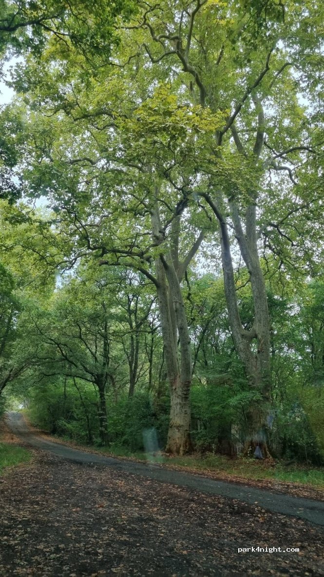 (33770) Salles - Chemin du Bran — foto 4