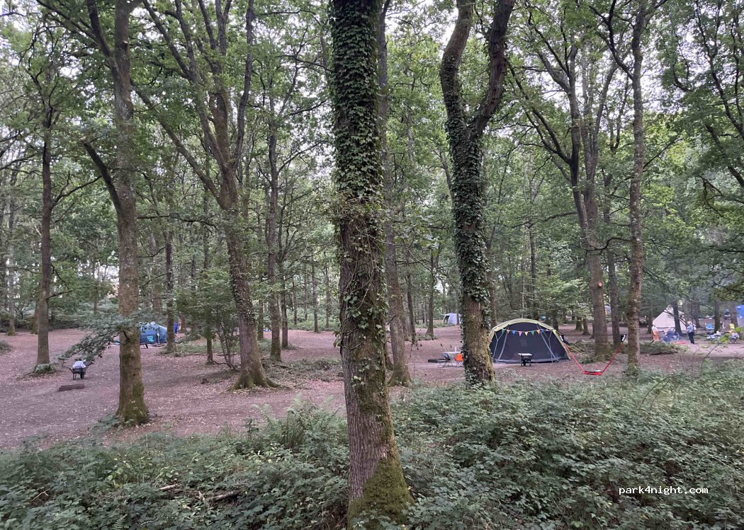 Fox Wood Campsite — foto