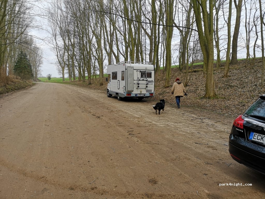 (24351) Damp - Fischleger — foto 2
